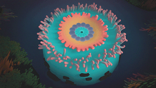 SEA-ANEMONE