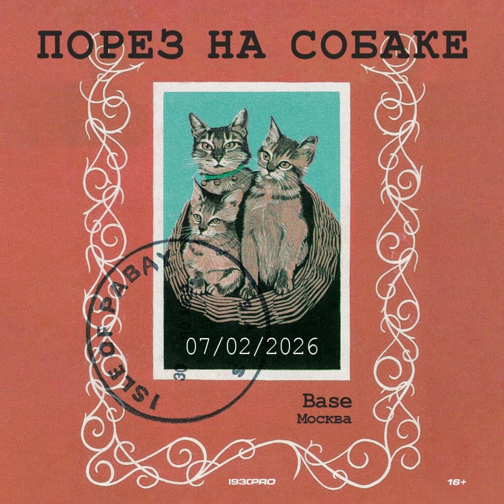 Порез на Собаке | 7.02.2026 @ Base