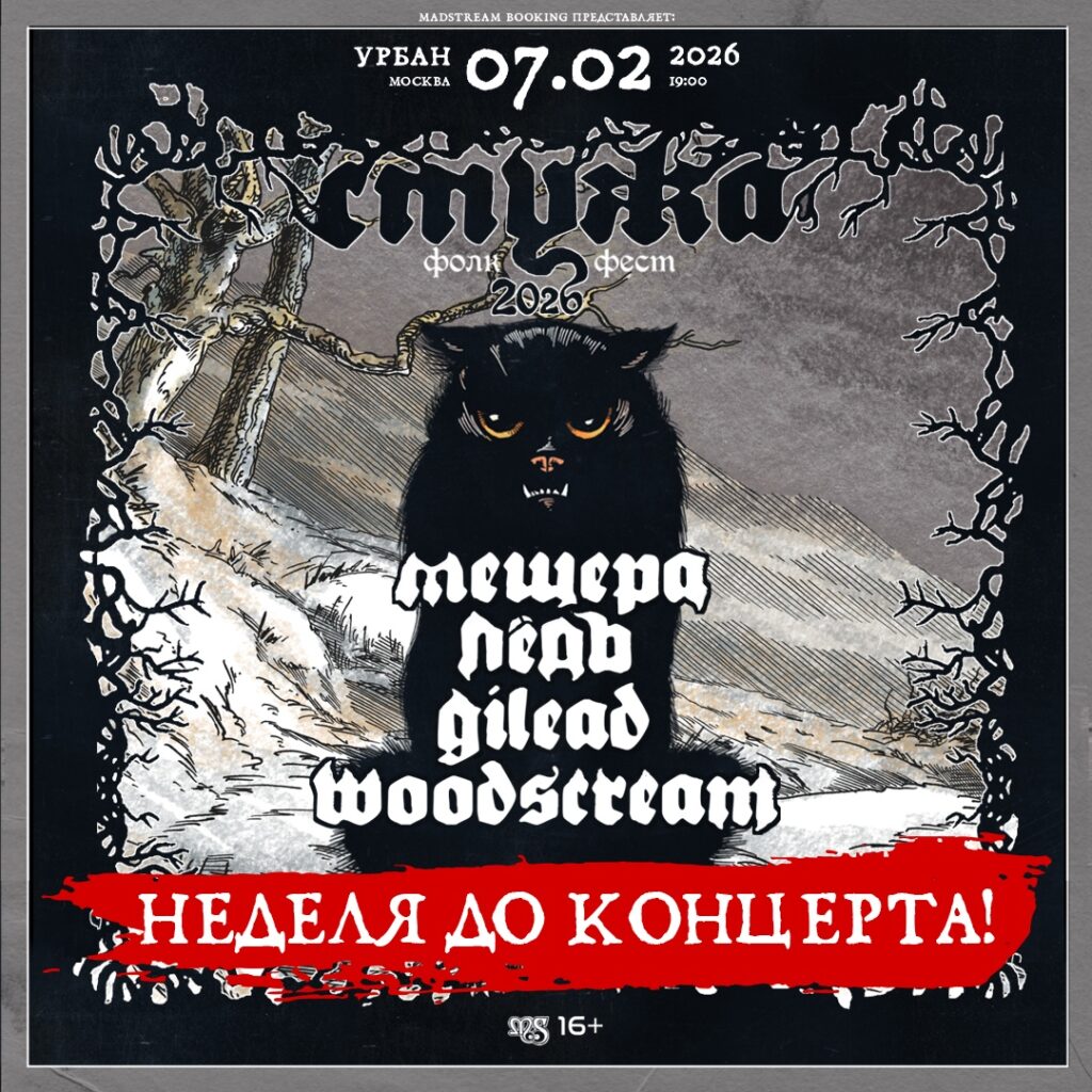 Стужа Фолк Фест || 07.02.26 || Москва